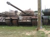 IMG_4170 T-29